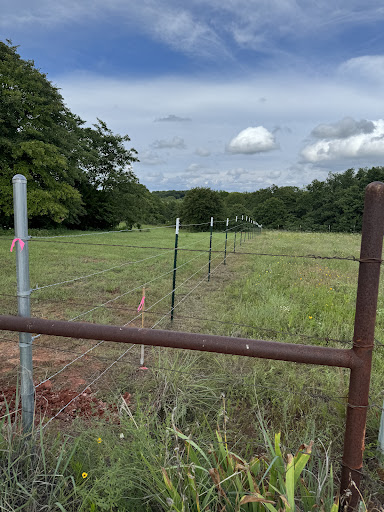 Photo from customer review