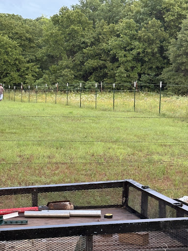 Photo from customer review