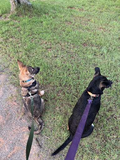 Photo from customer review