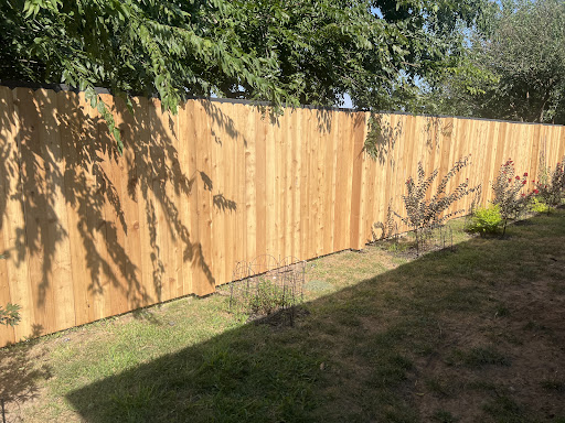 Photo from customer review