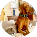 Christie profile picture